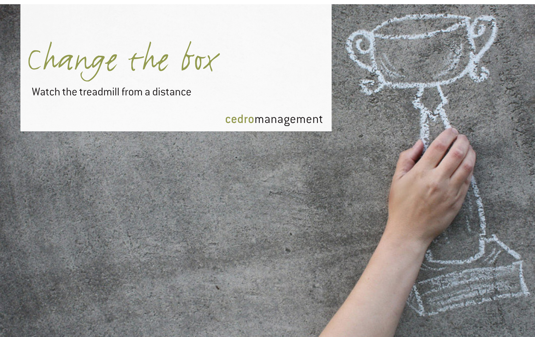 cedromanagement-Expertise_web-EN